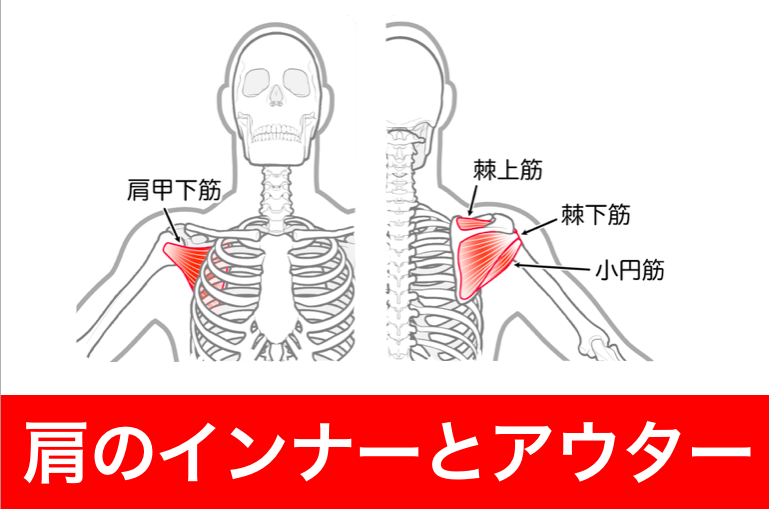 インナーマッスルとアウターマッスル