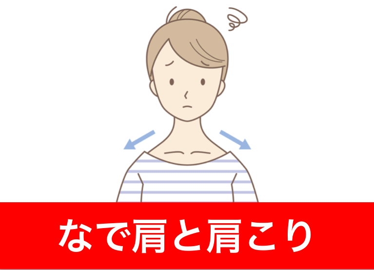 なで肩と肩こり