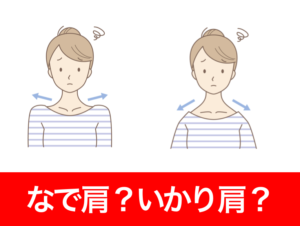 いかり肩かなで肩か