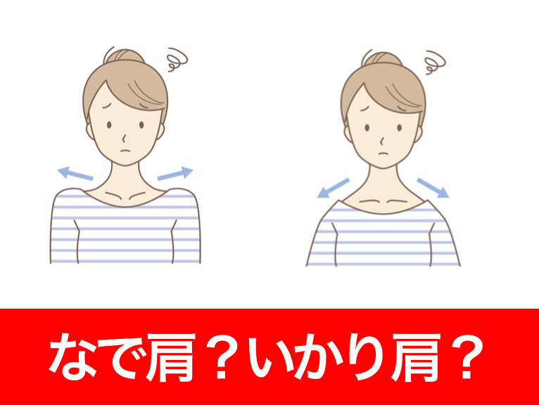 いかり肩かなで肩か